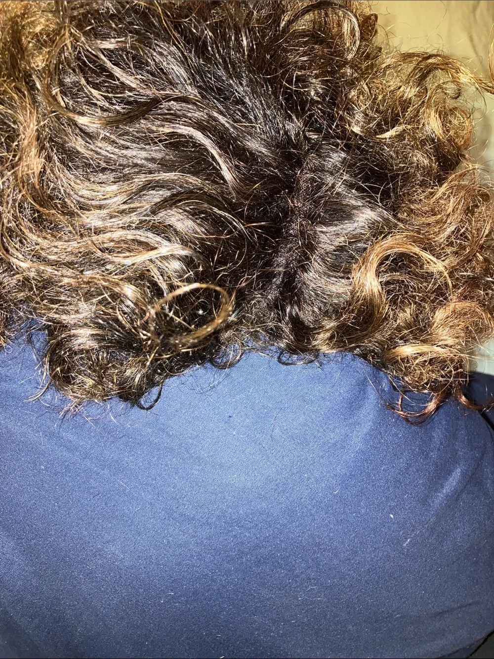 Curly Synthetic Wig in Dark Brown with Honey Highlights - Women Hair Extensions